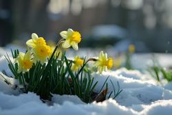 Menopausa improvvisa e sintomatica: le soluzioni per un progetto di salute a lungo termine